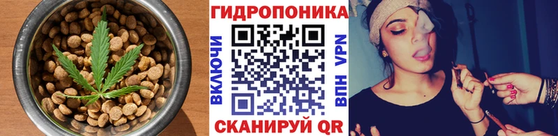 Canna-Cookies конопля  Тетюши 