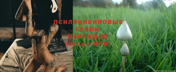 эйфоретик Володарск